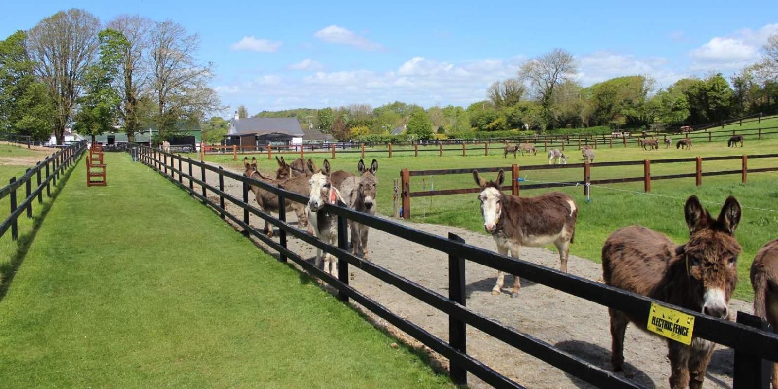Charleville Park Hotel & Leisure Club Ireland Esterno foto